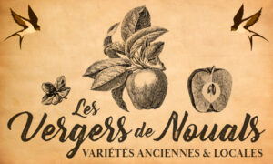 aperology-produit-aperitif-gastronomie-haut-de-gamme-producteur-distributeur-marque-brunch